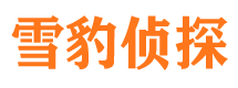 台山市婚外情调查